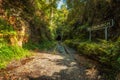 Abandoned Helensburgh Railway Station and tunnel near Sydney Royalty Free Stock Photo