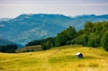 Abandoned herdsman shed on hillside near forest