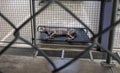 Abandoned homeless greyhound shelter dog behind bars at the pound