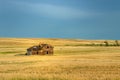 Abandoned homestead