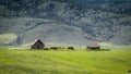 Abandoned Homestead in a Potato Field in Idaho