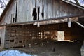 Abandoned farmstead on the Cheif Peosta Trail