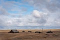 Abandoned homestead on the prairies. Royalty Free Stock Photo