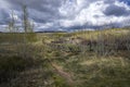 Abandoned homestead on a Wyoming prairie Royalty Free Stock Photo