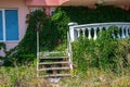 Abandoned hotel on the beach, covered in green grass and climbing ivy plant, nature take over concept, building facade