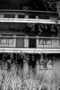 Creepy Abandoned Motel At Mare Island Overgrown by Ivy
