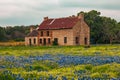 Abandoned house in a field of bluebonnet flowers in Marble Fall, Texas. Royalty Free Stock Photo