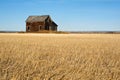 Abandoned House In Harvested Wheat Field In Fall