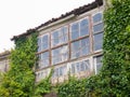 Abandoned house invaded by nature