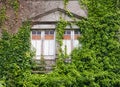 Abandoned house invaded by nature Royalty Free Stock Photo