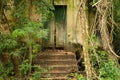 An old, abandoned house in the jungle, overgrown with vines