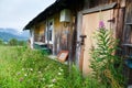 Abandoned house on the mountain top among grass and flowers Royalty Free Stock Photo