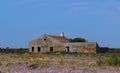 Abandoned House With Pink Flowers On Ilha De Culatra Portugal