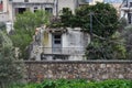 Abandoned house reclaimed by nature