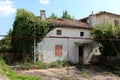 Abandoned house ruins partially overgrown with crawler plant and other vegetation surrounded with plants and fallen leaves