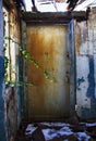 Abandoned house, tree branches grow through broken glass Royalty Free Stock Photo