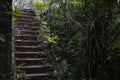 Abandoned house and tropical jungle. Old building in tropics. Rustic stone stairs in bush. The historic site remains Royalty Free Stock Photo