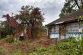 Abandoned house in ukrainian village Royalty Free Stock Photo