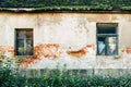 Abandoned house wall with two broken windows, exposed bricks and overgrown plants Royalty Free Stock Photo