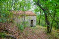 The abandoned house in the woods Royalty Free Stock Photo