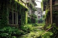 abandoned houses with overgrown vegetation
