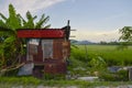 Abandoned hut at the rice paddy field