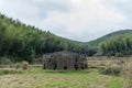 Abandoned huts in green bamboo forest