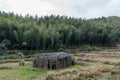 Abandoned huts in green bamboo forest