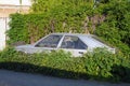 The abandoned and immobile car standing in the weeds