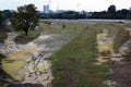 Abandoned industrial site with tree