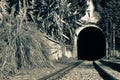 Abandoned inoperative railway. old railway station in abkhazia. tourist natural place with rails