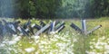 Close up of abandoned anti tank barrier in a savaged flower field Royalty Free Stock Photo