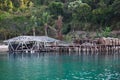 Abandoned island with palms and a house