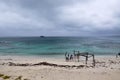 Abandoned Jetty at Hamelin Bay Royalty Free Stock Photo