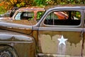 Abandoned Junk Cars in a Row Royalty Free Stock Photo