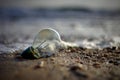 Abandoned light bulbs on the beach