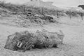 Abandoned lobster traps left in the sand Royalty Free Stock Photo