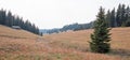 Abandoned log cabin in the Central Rocky Mountains of Montana U S A Royalty Free Stock Photo