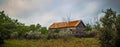 Abandoned log cabin house deep woods in texas