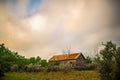 Abandoned log cabin house deep woods in texas