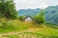 Abandoned log cabin Royalty Free Stock Photo