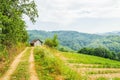 Abandoned log cabin Royalty Free Stock Photo