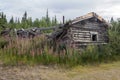 Abandoned log cabin in the Silver City ghost town with purple flowers, Yukon Territory, Canada Royalty Free Stock Photo