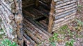 Abandoned log fortifications in a birch forest Royalty Free Stock Photo