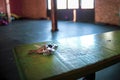 Abandoned and lost house and car keys in the gym locker room, front and background blurred with bokeh effect Royalty Free Stock Photo