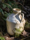 An abandoned milk jug its contents spilled and dried up in a ditch.. AI generation