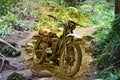 Abandoned motorcycle in forest Royalty Free Stock Photo