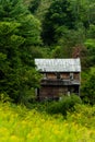 Abandoned Mountain Homestead - Appalachian Mountains - Maryland