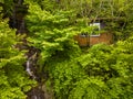 Abandoned mountain shack covered in green foliage by small waterfall