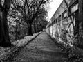 Abandoned mysterious path in a park during winter. Monochrome ph